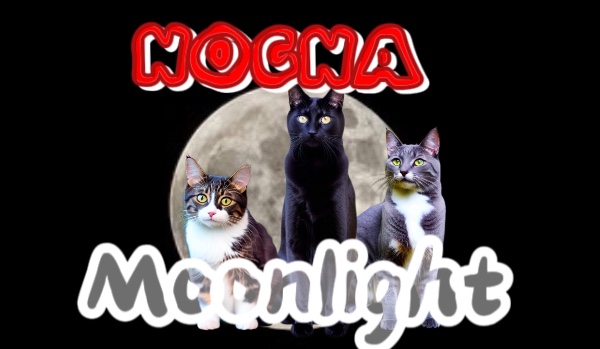 •Moonlight• ||Chapter Two||