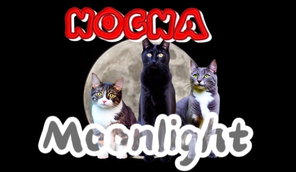 •Moonlight• ||Chapter Four||