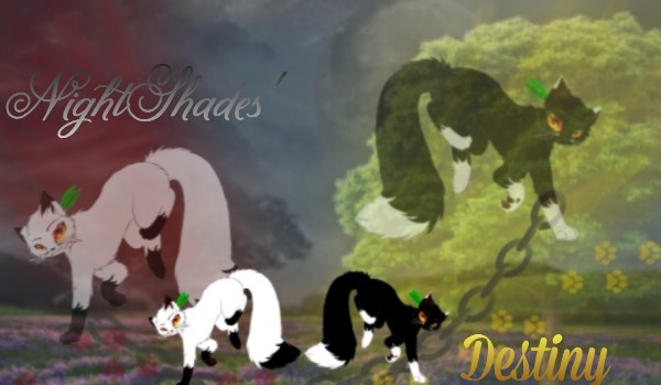 ~NightShades’ Destiny~ –[Chapter One]–