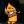 chris.psychopata