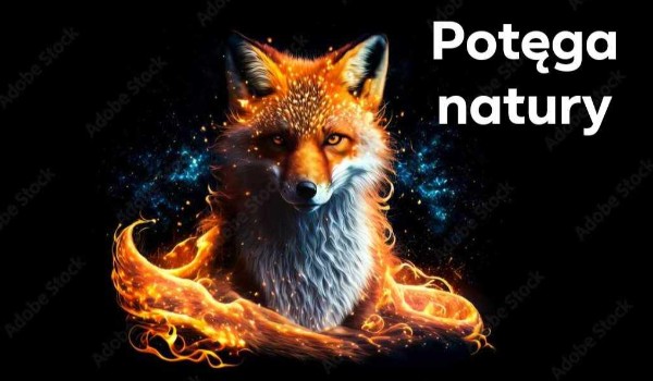 Potęga Natury | Bratnia Dusza ? , Rozdział 2