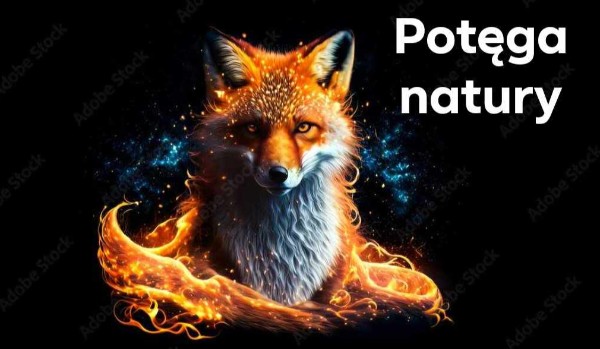 Potęga Natury | Może się uda ? , Rozdział 4