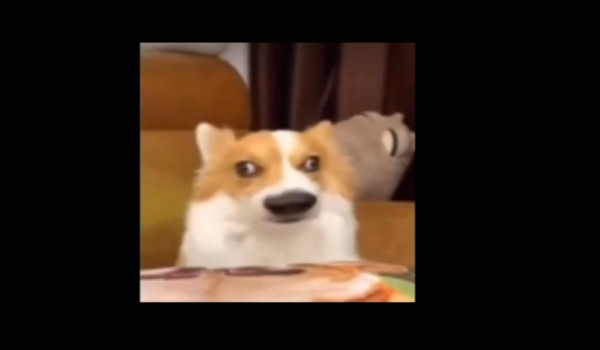 Wiedza Mahcinowa – remastered