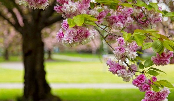 Jaki tel do cb pasuje