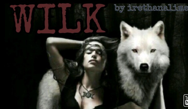 WILK część czwarta