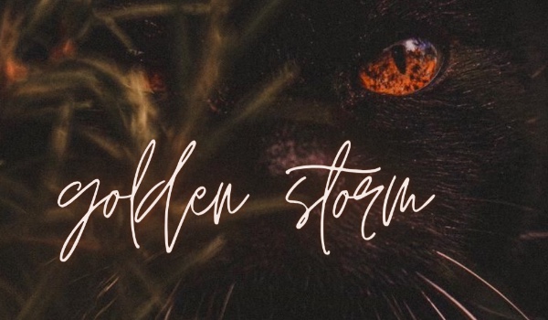 goldenstorm | rozdział I