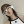 Dizzly_