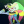 Adam_3666