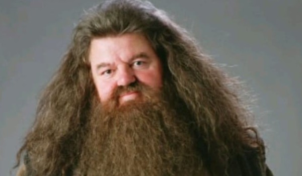 Wywiad z @zebra_wKropki