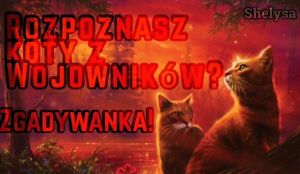 Rozpoznasz koty z Wojowników?