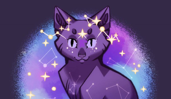 Zamówienie Mikolanka13