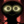 ___Bob___