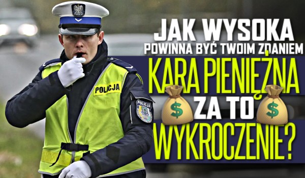 Jak wysoka powinna być Twoim zdaniem kara pieniężna za to wykroczenie w Polsce?
