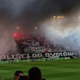 Kapibarowy