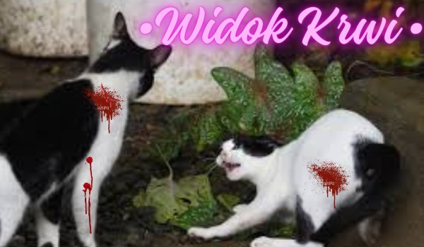 •Widok Krwi• •Part One•