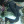 marineanimals_3