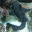 marineanimals_3