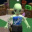 Domek2115