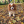 Nati3456789