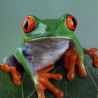 LauraZaba