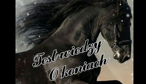 Test wiedzy o koniach