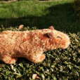 capibara_pluszakara