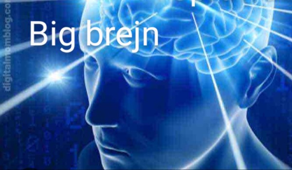 Big brejn part 2