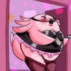 acocietto