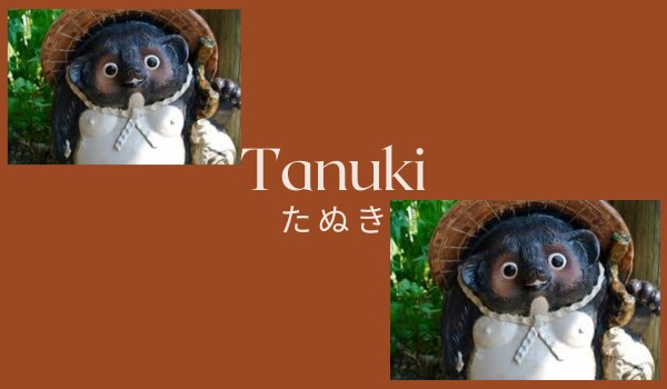 Tanuki ( 化け狸)