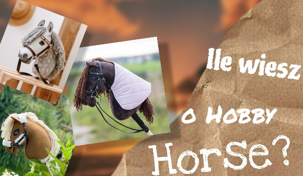 Ile wiesz o hobby horse?