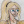 Mimosa_1222