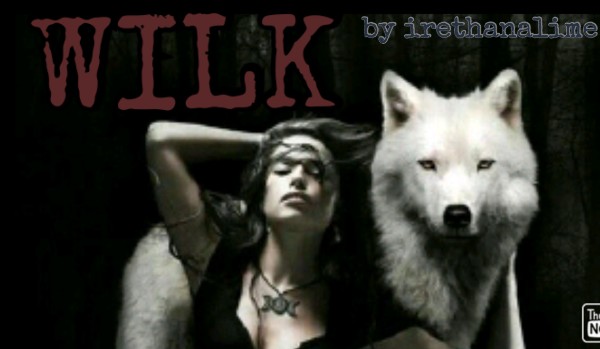 WILK część jedenasta