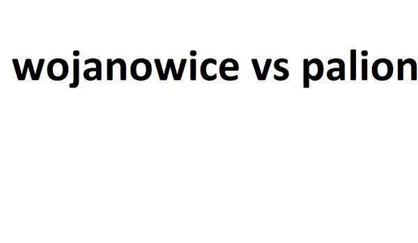 wojan vs palion