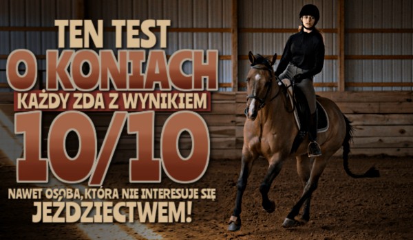 Ten test o koniach każdy zda z wynikiem 10/10, nawet osoba, która nie interesuje się jeździectwem!