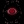 Rubin0013