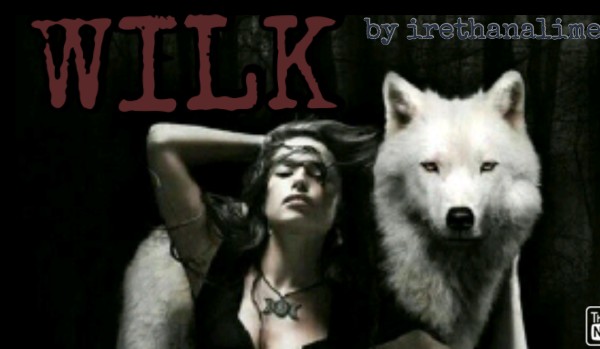 WILK część dwunasta