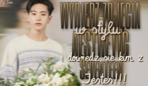 Wybierz zdjęcie w stylu aesthetic i dowiedz się kim z Seventeen jesteś!