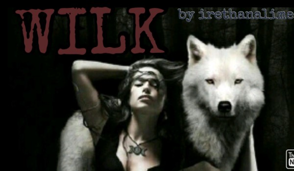 WILK część trzynasta