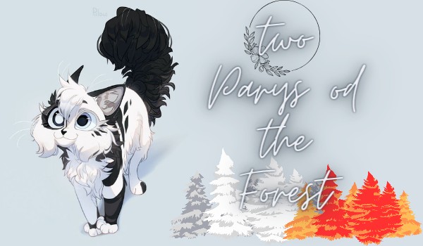 Two Parts of the Forest ~chapter 1