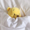 Lixi_rel