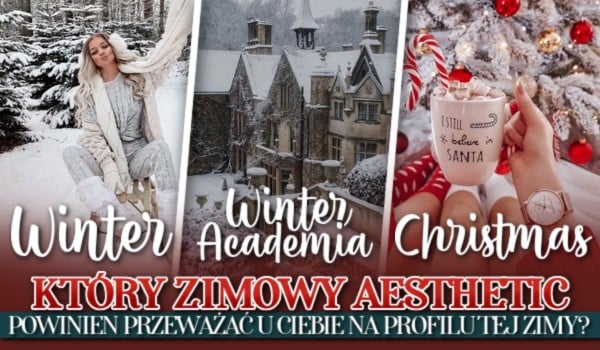 Który zimowy aesthetic Winter, Winter Academia czy Christmas powinien przeważać u Ciebie na profilu, tej zimy?