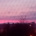 Krystianella