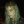 Sasha_Gaybright