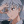lubie_anime_
