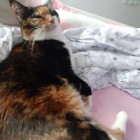 XxKittyGmailPlayzzxX