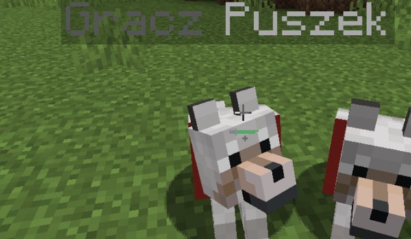 Quiz o Survnimie Część 2!!!!