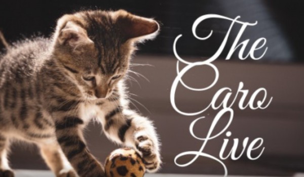 ,The Caro Live”- Rozdział II