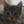 00SpaceCat00