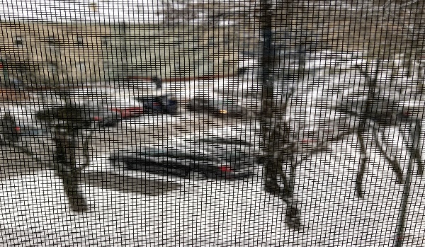 Jakim kolorem świąt jesteś?