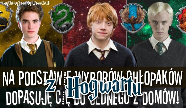 Na podstawie wyborów chłopaków z Hogwartu dopasuje cię do jednego z domów!